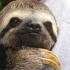 Avatar für erinthesloth