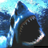 Аватар для sharkman_ru