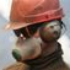 Avatar for NilluM