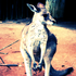 Avatar for ihavebadideas