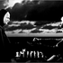 frettchn 的头像