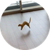 Avatar für milagro-iv