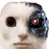 miles_s 的头像