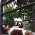 Avatar for plueschkamel