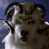 goatsofdoom için avatar
