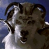 Avatar for goatsofdoom
