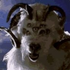 Avatar de goatsofdoom