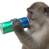 Avatar for jawzipan