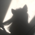 Avatar for Shibahri