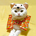 polarbearcat 的头像