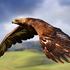 Avatar for Twuja-Denli