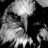 Avatar for Trust-god