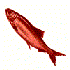 Avatar for red_herring