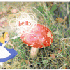 blind_marmot 的头像