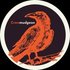 Avatar for Crowmudgeon