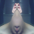Avatar for PomegranateMan