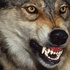 Avatar de werewolf4fun