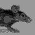 Avatar for pixel-rat