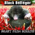 Avatar for black_belfegor