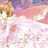 Cardcaptor Sakura için avatar