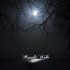 Moonlit Wake için avatar