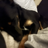 Brodie__ 的头像