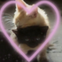 Avatar for imnotlally