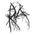 Avatar for Rå