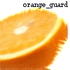 Avatar for orange_guard