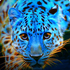 Avatar for LeopardSixteen