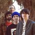 Avatar de Animal Collective
