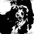 Avatar di Daiacos
