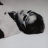 onlylovvers さんのアバター