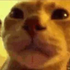 Avatar di Xanthous7