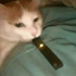 nofluffin 的头像