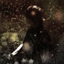 Avatar for trysvn
