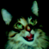 Avatar for Mystic_Healer