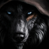 LoneWolf_NLD için avatar