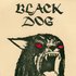 Black Dog 的头像