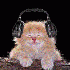 allykity için avatar