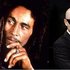 Avatar de Bob Marley VS. Funkstar De Lux