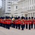 Avatar för The Band of the Scots Guards