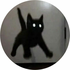 tqselny さんのアバター