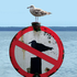 Avatar for mentallymoray