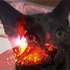 Avatar for wesleymarcus