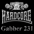Gabber231 的头像