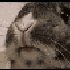 Avatar for Topp3