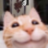 Avatar for JustRockyyy