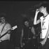 Adolescents 的头像