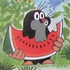 Avatar de arbuzuje